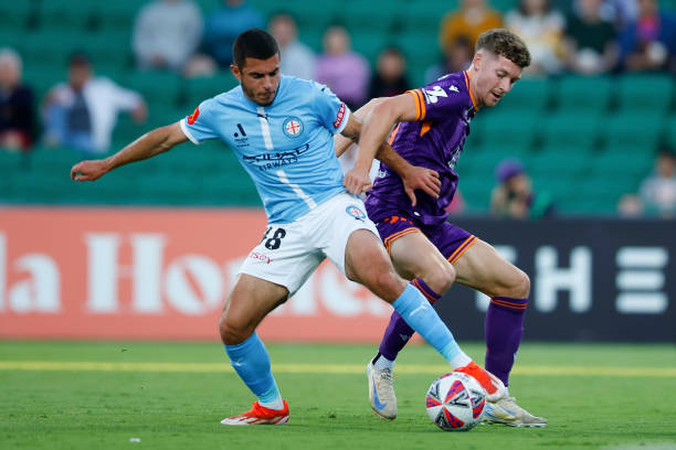 或许将揭示 或许将揭示