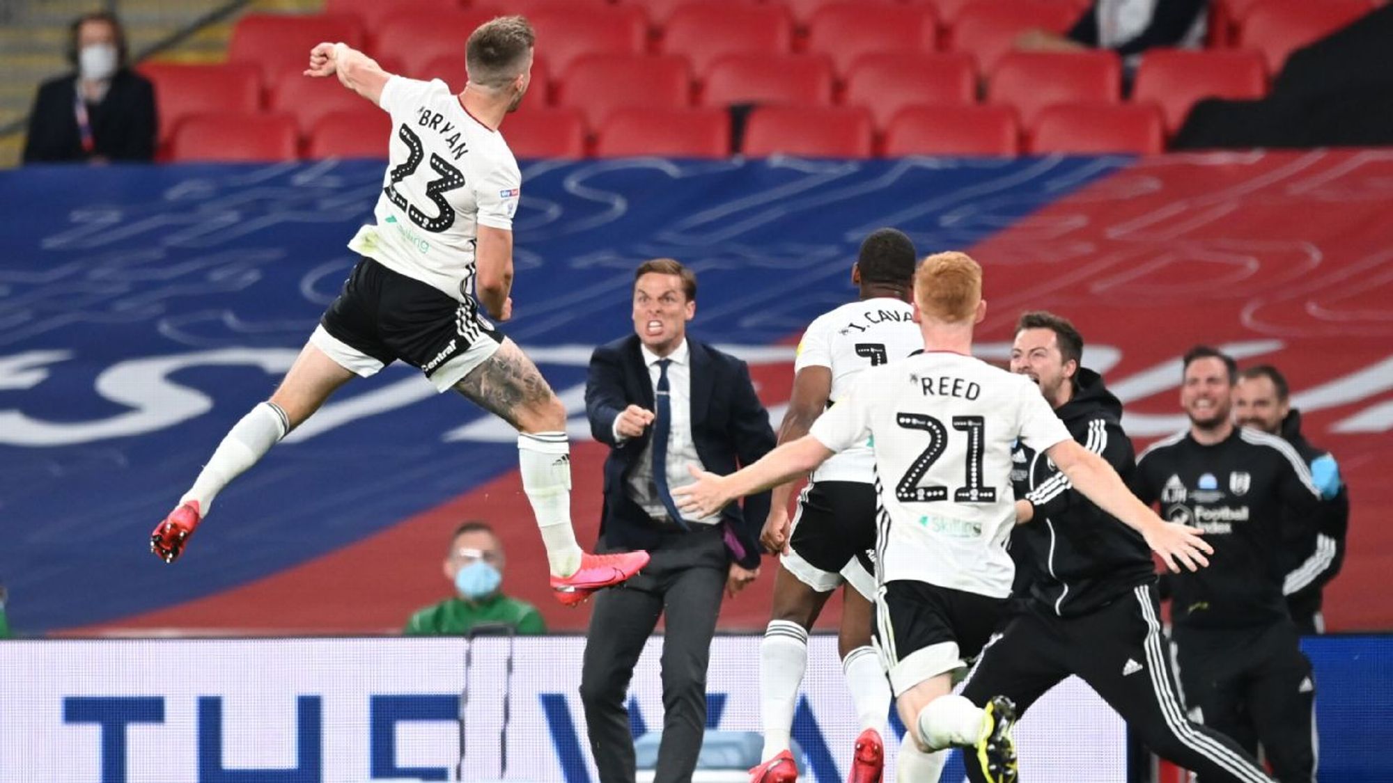 从近年来的 从近年来的