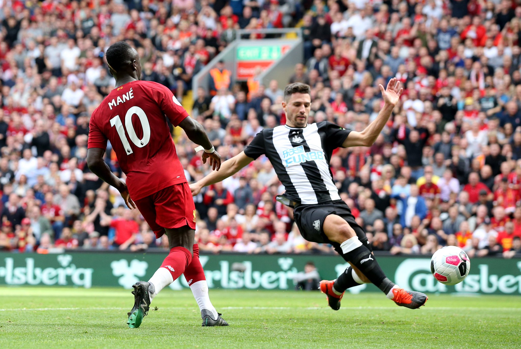 已经树立起 已经树立起